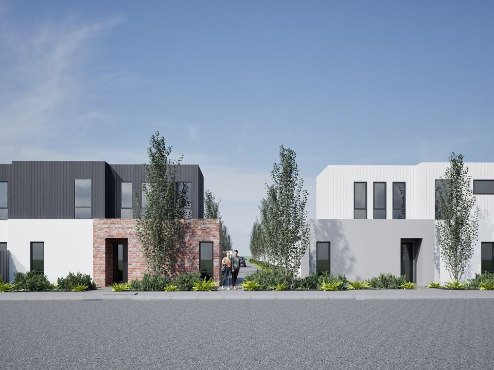 3 Tettigoni, Harrisdale
