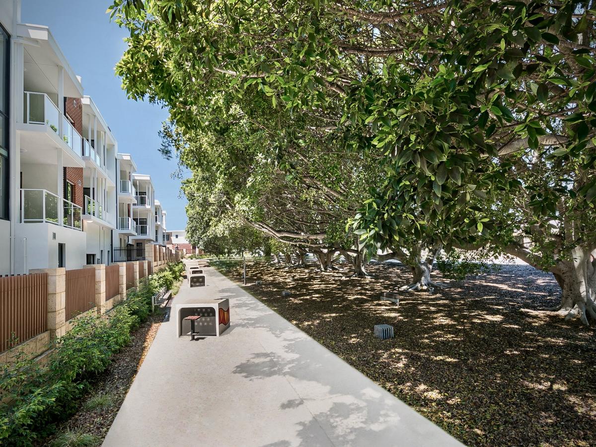 Infill apartments beside mature Moreton Bay fig trees